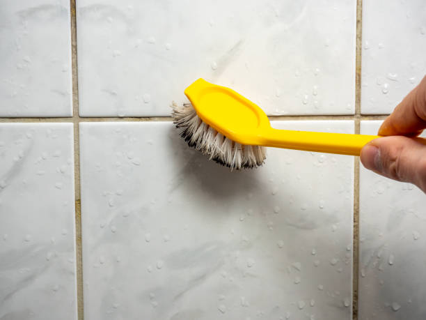Office Mold Removal Services in Sylvania, GA