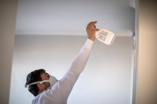 Best Local Mold Removal Service  in Sylvania, GA